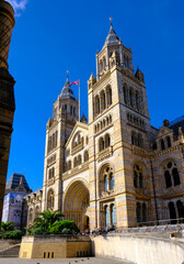 images from the london natural history museum