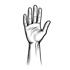 Fototapeta premium Raised Open Hand Illustration Representing Stop, Warning, or Human Rights Symbolism