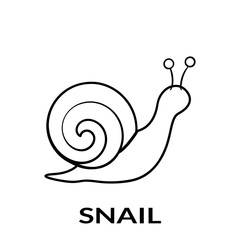 Snail Line Art Vector Illustration in Minimalist Black and White Style