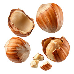 Fallen hazelnuts with broken shells, isolated on a transparent background