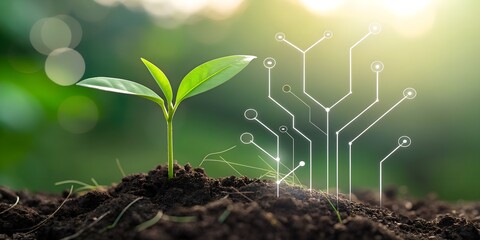 Futuristic concept of sustainable agriculture with a young plant growing in fertile soil, integrated with digital technology and innovation for eco-friendly farming solutions banner and cover