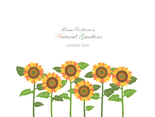 Frame Collection_radiant sunflower 4