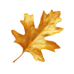 Naklejka premium Transparent Background of a Single Autumn Oak Leaf in Golden Color