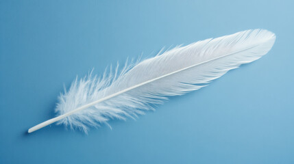 Obraz premium White and Light Blue Feather on a Soft Blue Background.