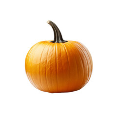 Obraz premium Single Ripe Orange Pumpkin Isolated on Black Background