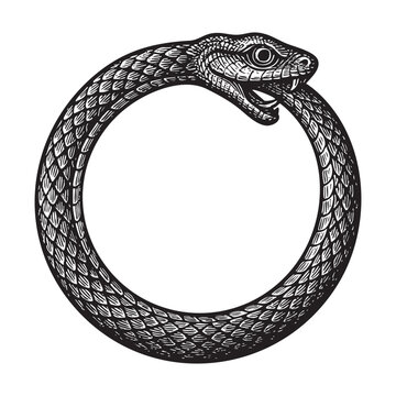 Ouroboros woodcut engraving vector illustration