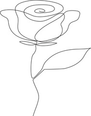 Continuous One line rose flower with editable stroke. Hand drawn single line rose flowers, Vector illustration.