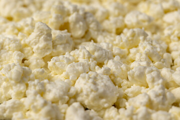 fresh cottage cheese made from milk in the form of lumps of white color, lumps of freshly made fermented milk