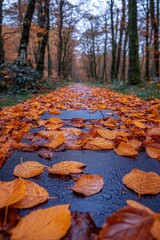 Autumnal path covered in fallen leaves