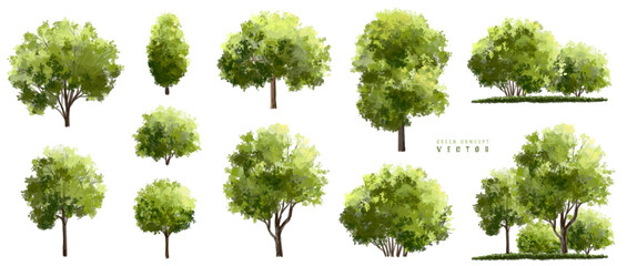  Vector watercolor green  tree or forest side view isolated on white background for landscape and architecture drawing,elements for environment or and garden,Shrub for section