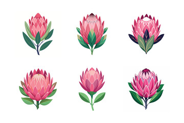Colorful Protea 6 Exotic Flower Vector Icons