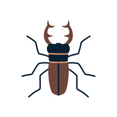 Brown stag beetle with antlers. Vector illustration isolated on white background, hand drawn, flat design