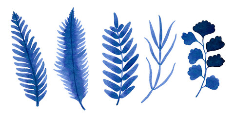 Watercolour hand drawn blue floral fern branch, foliage exotic plant, blue watercolour branch use as print, poster, element design, textile, fabric, invitation, clothes print, label, sticker.  © daria