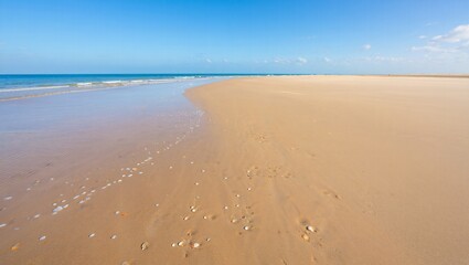 Expansive sandy beach where the light tan sand meets the gentle blue waves under a clear sky.