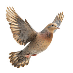 Graceful swan arching over a pond png elegant lake bird png curved white swan png graceful aquatic bird png transparent background image