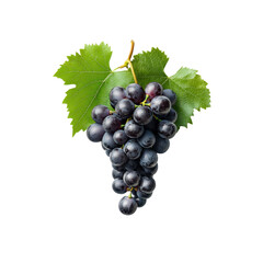 Fototapeta premium Lush Bunch of Dark Grapes with Green Leaves on Black Background