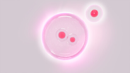Pink Cell Division in Glowing Liquid Environment. Demonstrating concepts related to cell development, reproduction, or stem cell research. 3D Medical Illustration