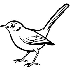 Minimal Common Tailorbird Vector on White