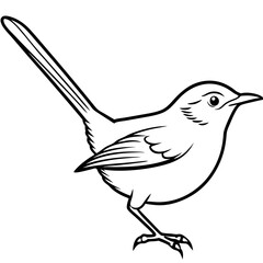 Minimal Common Tailorbird Vector on White