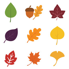 Obraz premium set of Isolated Fall Leaves for Scrapbooking or Printing 