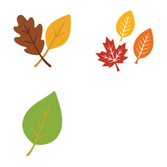 Obraz premium collection of Minimal Fall Leaf Art with Autumn Color Palette