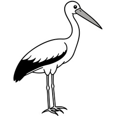 Minimal Painted Stork Vector on White