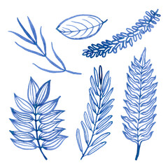 Obraz premium Watercolour hand drawn blue floral fern branch, foliage exotic plant, blue watercolour branch use as print, poster, element design, textile, fabric, invitation, clothes print, label, sticker. 