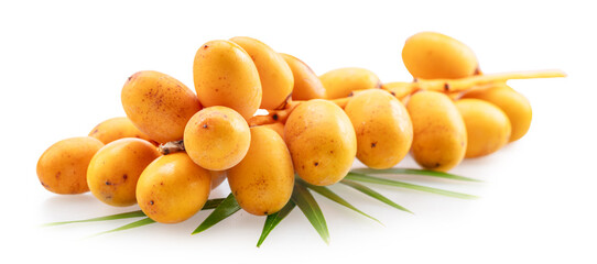 Cluster of yellow fresh dates, or date palm fruits lie on palm leaves isolated on white background. File contains clipping path.