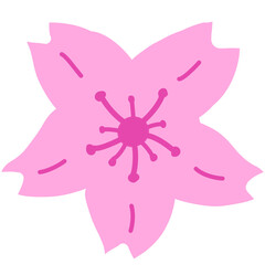 Cherry Blossom Illustration Isolated on White