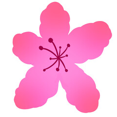 Azalea Flower Illustration Isolated on White Background