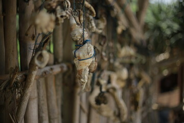 Tiny seashells delicately hang from a wooden fence, gently swaying in the breeze