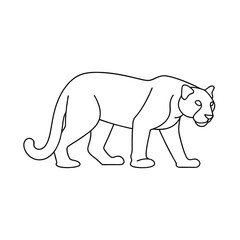Obraz premium Simple minimalistic line art illustration of a walking cougar depicting wildlife animal in black and white design
