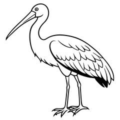 Minimal Asian Openbill Vector on White