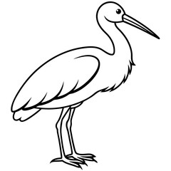 Minimal Asian Openbill Vector on White