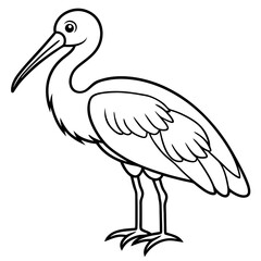 Minimal Asian Openbill Vector on White