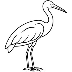 Minimal Asian Openbill Vector on White