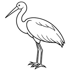 Minimal Asian Openbill Vector on White