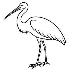 Minimal Asian Openbill Vector on White