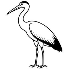 Minimal Asian Openbill Vector on White