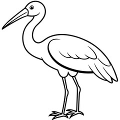 Minimal Asian Openbill Vector on White