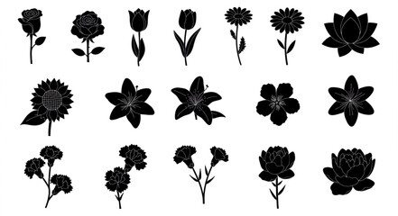 Elegant Flower Silhouette Collection – Botanical Black-and-White Floral Illustrations