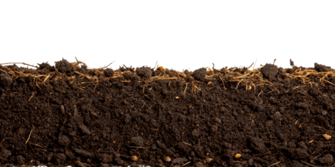 humus soil bottom border pile isolated on white or transparent png. Botany organic brown manure fertilizer for garden seeding growth with agriculture compost, closeup