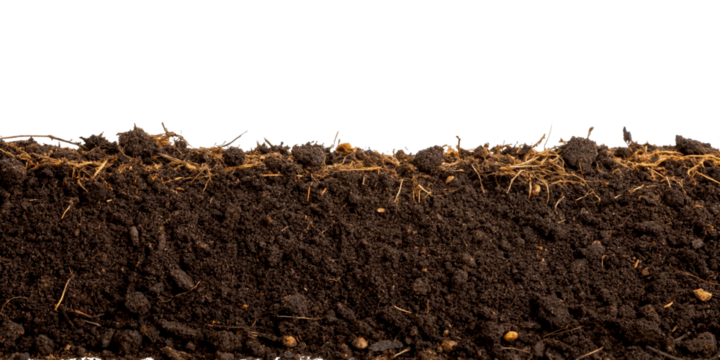 humus soil bottom border pile isolated on white or transparent png. Botany organic brown manure fertilizer for garden seeding growth with agriculture compost, closeup