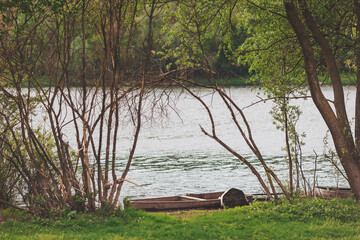 Serene riverbank with wooden boat nestled among vibrant greenery during a peaceful afternoon