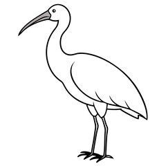 Minimal White Ibis Vector on White