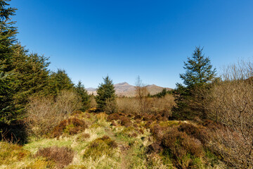 Trail on the cricular route of Moel Hebog, Beddgelert, Snowdonia national park