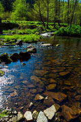 Hiking on the Wolfensteiner Ohe in the bavarian Forests Germany