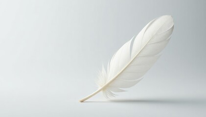 Delicate white feathers against pure white backdrop, heavenly, photography