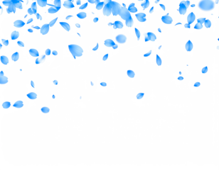 blue petals flying floating isolated on white or transparent background