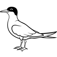 Minimal Caspian Tern Vector on White